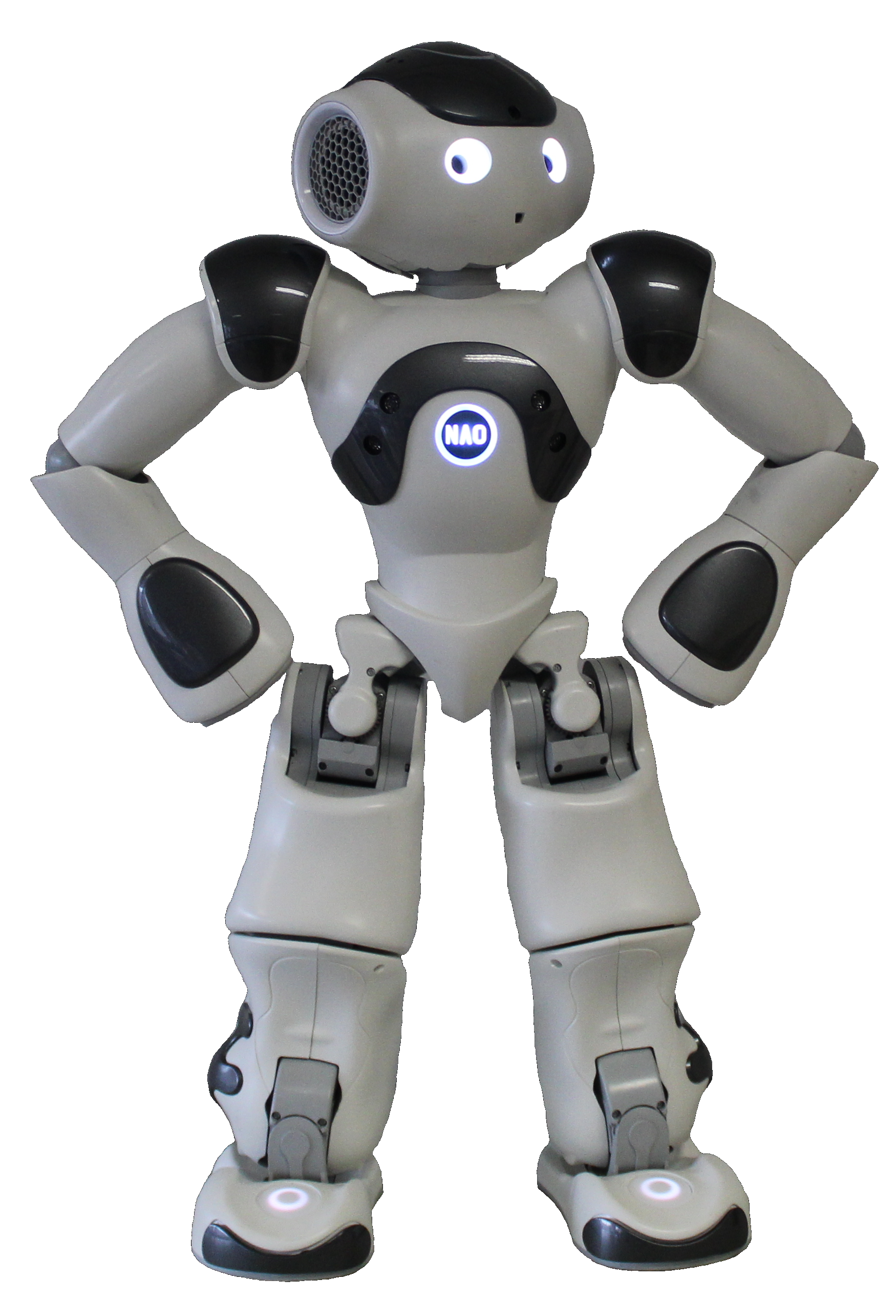NAO Robot